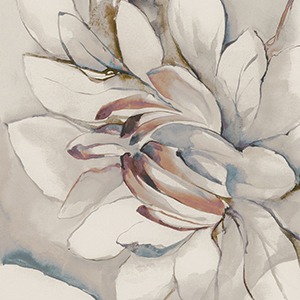 COTTO PETRUS DECORO WHISPER 60X120